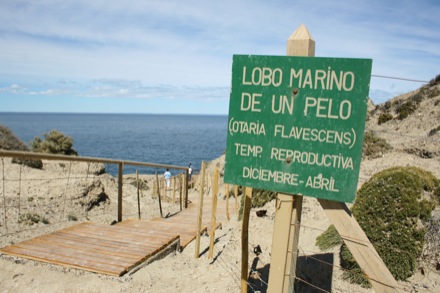 Puerto Madry & Peninsula Valdes