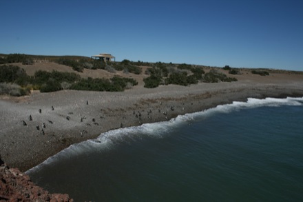 Puerto Madry & Peninsula Valdes